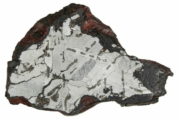 Etched Canyon Diablo Meteorite Slice ( g) - Arizona #356045
